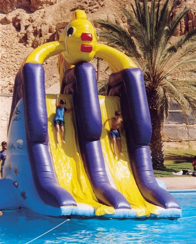 קמיקזה לאמיצים